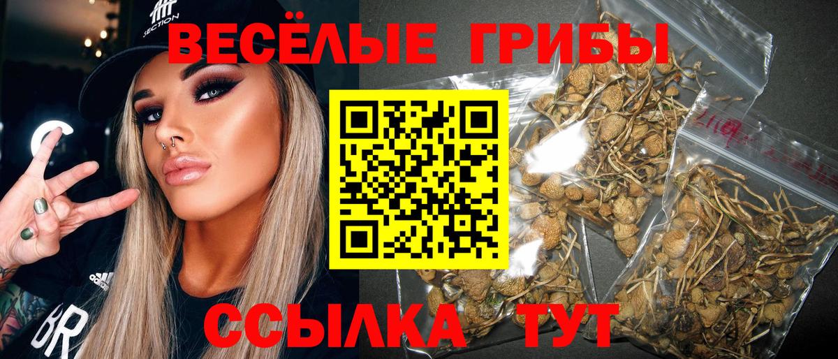 Псилоцибиновые грибы прущие грибы Дедовск