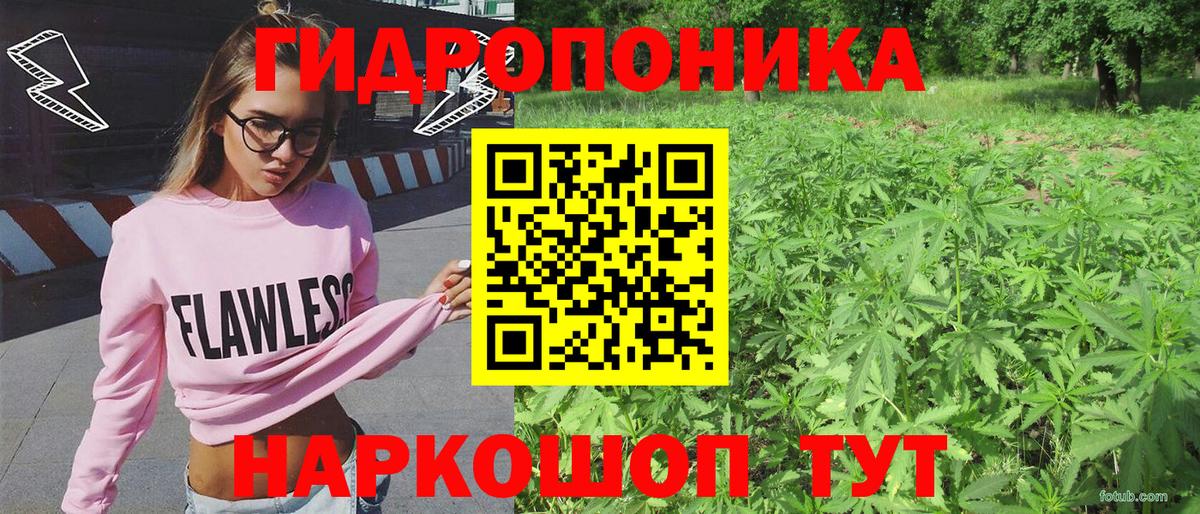 Конопля сатива Дедовск